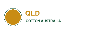 Queensland Cotton
